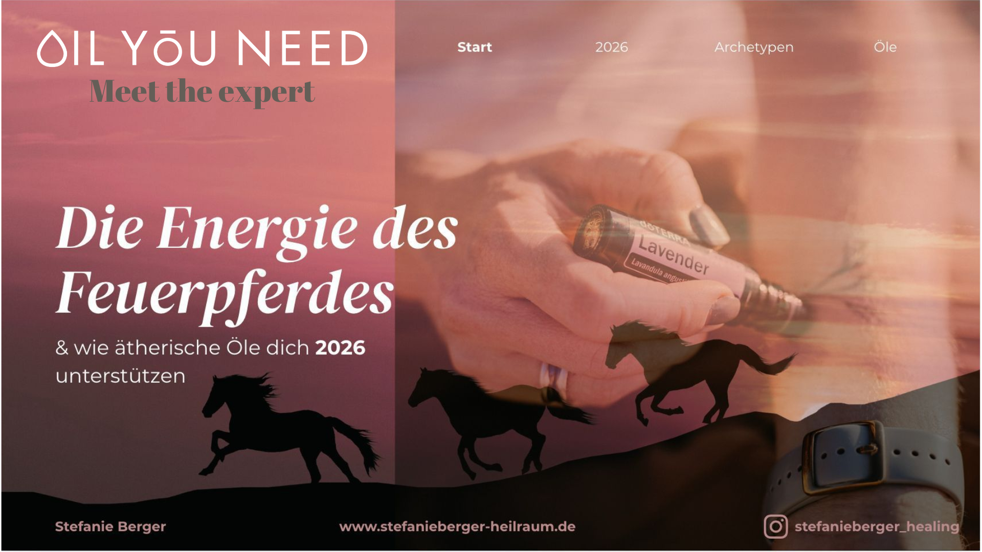 Die Energie des Feuerpferdes - Meet the Expert mit Steffi