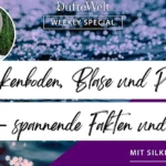 Beckenboden, Blase und Prostata - Weekly Special Dufte Welt